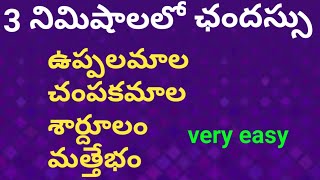 తెలుగుగ్రామర్ ఉత్పలమాల చంపకమాల శార్దూలం మత్తేభం ఛందస్సు viral telugu సందులు సమాసాలు [upl. by Allenotna]