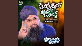 Bhardo Jholi Meri Ya Muhammad [upl. by Lesna]