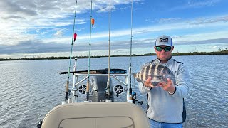 Inshore Fishing in Homosassa FL  New Year’s Eve Weekend [upl. by Gregoor]