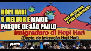 UM DIA COMPLETO NO HOPI HARI MELHORES BRINQUEDOS 2021 [upl. by Yenaj557]