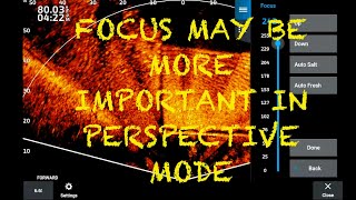 Garmin Livescope Focus May Be More Important In Perspective Mode [upl. by Aitnwahs984]