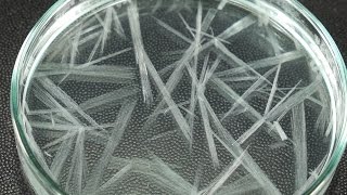 Fast Crystallization Experiment [upl. by Nevi599]