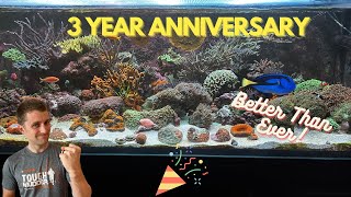 200 Gallon Innovative Marine 200 Gallon EXT 3 Year Anniversary [upl. by Ikin]