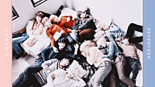 seventeen sleeping playlist ♫ [upl. by Yong]