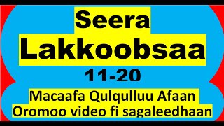 Seera Lakkoobsaa 11  20 Numbers 11 20 [upl. by Itram]