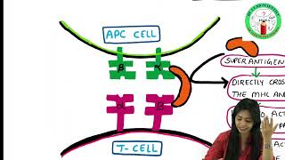 Antigen PART II  Super Antigens [upl. by Anjali]