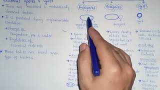 Bacterial Spores And Cyst  Exospore  Endospore  Class 11 [upl. by Gustaf169]