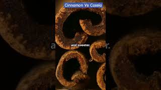 Cinnamon Vs Cassia  Farm Modernization  How to Find True Cinnamon viral shorts facts [upl. by Okechuku646]