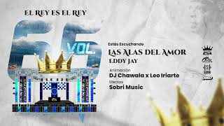 Las Alas del Amor  Eddy Jay Ft Rey de Rocha Vol 66 [upl. by Airehs861]