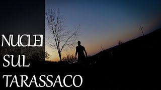 vlog9 Porto i nuclei sul tarassaco [upl. by Adnulahs]