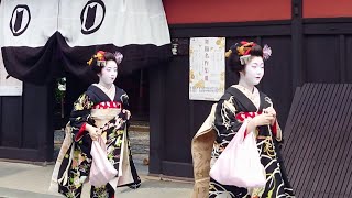 Geishas go the courtesy visit at Hanamikoji in Gion Kyoto  京都祇園、花見小路と宮川町で舞妓さんの八朔、外国人観光客の感動、海外の反応 [upl. by Ilat]