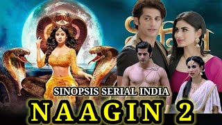 SINOPSIS SERIAL INDIA NAAGIN 2 ANTV [upl. by Nioe]