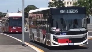 BUS A ROMA PARTE 4  Subappalti  Bus Spotting in Rome [upl. by Kinch]