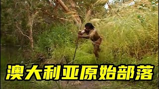 澳大利亞原始部落：獵鱷魚食蜥蜴，用最原始的方式生存  世間放映廳 [upl. by Aiuhsoj]