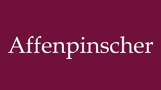 How to Pronounce Affenpinscher Correctly in German [upl. by Haeluj317]