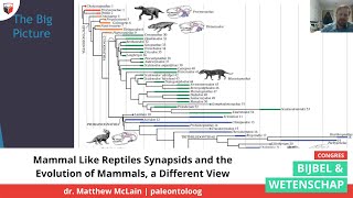 Mammal Like Reptiles Synapsids and the Evolution of Mammals a Different View  Dr Matthew McLain [upl. by Allicerp]