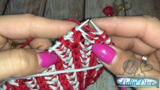 MAGLIALezione 3Costa inglese a due coloriaumentiKnitting Brioche stitch [upl. by Ahsieuqal700]