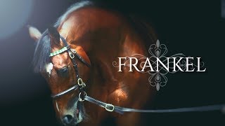 Frankel Edit [upl. by Melton]