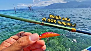 Andalan Umpan Minnow untuk Mancing Casting di Karang Dangkal  Ultralight Casting [upl. by Newhall]