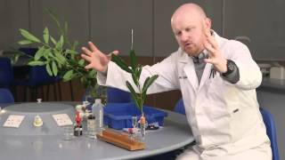 Transpiration the power of the potometer [upl. by Aihsenor]