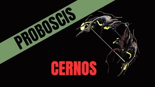 Warframe 2023 Proboscis Cernos Build [upl. by Monjan]