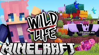 The WORST Best Day Ever  Ep 6  Wild Life [upl. by Enileve673]