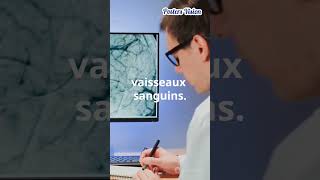 AVC Les Facteurs de risque de lAccident Vasculaire Cérébral AVC neurologie cardiologie [upl. by Wetzell]