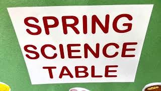 Preschool Spring Table [upl. by Elberfeld916]