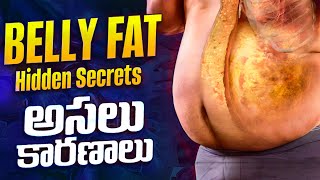 Belly Fat hidden secrets  What causes belly fat  How to lose belly fat Telugu [upl. by Bay]