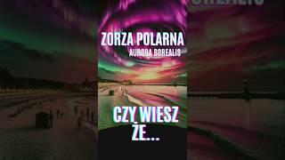 ❓Zorza Polarna Nad Polską CZY WIESZ ŻE❗❔zorza polarna aureora polska lubuskie fotografia tbd [upl. by Godfree107]