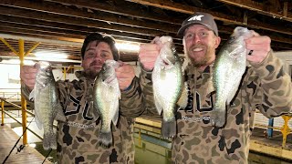 Multispecies Fishing in a Crappie House [upl. by Nellaf853]