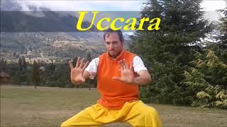 uccara de ayur yoga vital [upl. by Orola801]