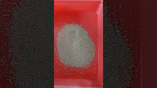 How to choose the best cat litter sand in budget cat cats leadingpets dollfacepersiancat [upl. by Anawik]