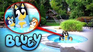 BLUEY amp BINGO POOL PARTY IN REAL LIFE BLUEY MOVIE [upl. by Tivad]