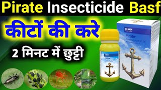 Pirate Insecticide Basf Pirate Insecticide Pirate Basf Bajrang Beej Bhandar [upl. by Mathew]