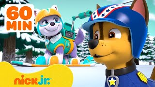 PAW Patrol PAWSOME Adventures with Sports Games amp Nature Rescues w Chase  60 Minutes  Nick Jr [upl. by Juieta87]