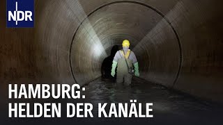 Hamburgs Unterwelt Arbeiten unter der Stadt  Die Nordreportage  NDR Doku [upl. by Calan904]