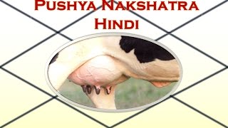 Pushya NakshatraHindi [upl. by Durstin]