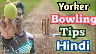 How To Bowl A Perfect Yorker In Cricket  Yorker Bowling Tips In Cricket [upl. by Arretnahs]