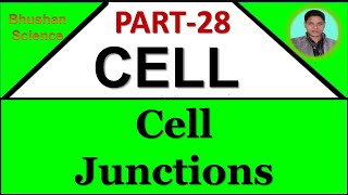 Part 28  Cellular Level of Organization  Cell Junctions Hindi  B Pharm  Nursing  Medical [upl. by Monie]