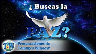 ¿Buscas la paz  Tommys Window Español [upl. by Charis393]