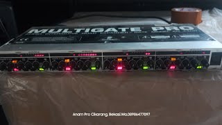 Multigate Pro Model XR4400 [upl. by Malinde949]