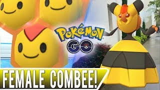 How to Find a FEMALE COMBEE TO EVOLVE VESPIQUEEN in Pokemon GO [upl. by Paolo]