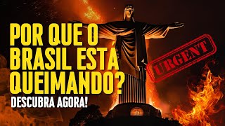 Queimadas no Brasil O Impacto Real e Como Isso Muda o Futuro curiosamente [upl. by Petronia]