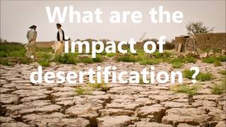 Desertification causes impact and solutions [upl. by Acnaib]