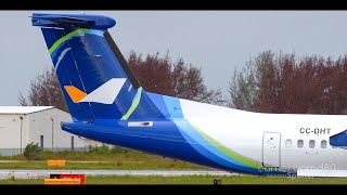 Aerovías DAP Delivery Flight  Dash 8 Q400 CCDHT  Jul2024 Bahamas Planespotting [upl. by Ahern]