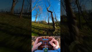 CRAZY technical TREESTYLE FPV fpvfamily fpvfreestyle DJI GAMING fun [upl. by Hillard]