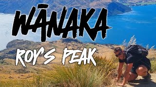 TAKING ON NEW ZEALANDS BEST HIKE 🇳🇿 Roys Peak Wānaka [upl. by Etteloiv]