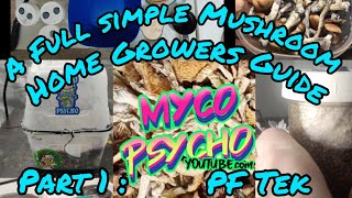 Super Affordable and Easy Beginners MUSHROOM Growers Guide No Pressure Cooker Part 1 PFTek [upl. by Eillah]