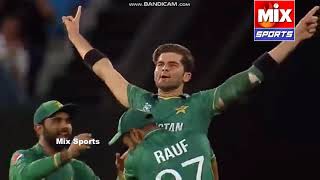 Pakistan VS Australia SemiFinal T20 World Cup 2021 Highlights cricket pakistan australia sports [upl. by Suirtemed39]